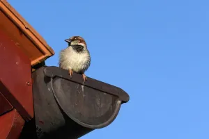 Długowieczność systemu odwodnienia