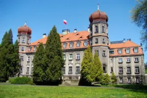 Czym wyczyścić głośnik w telefonie? Sprawdzone metody czyszczenia